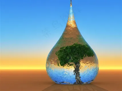在水滴里的大树