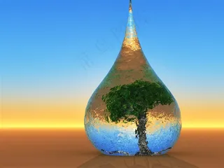 在水滴里的大树