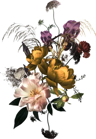 欧式优雅精致复古风格油画质感色彩手绘花卉植物树叶插画PNG素材