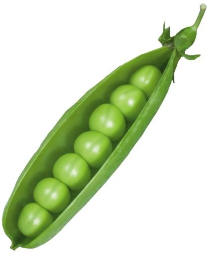 豌豆免抠(660x796)