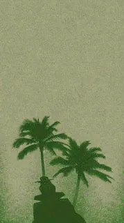 简约绿色叶子影子纹理