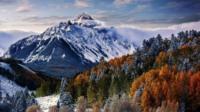 高清雪山树林风景