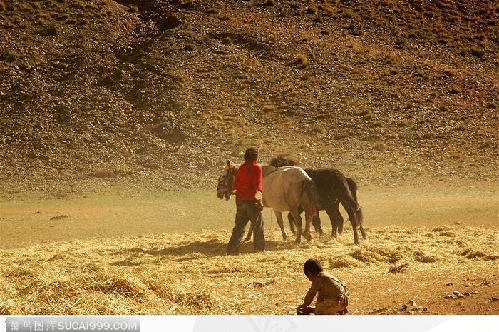 西藏人文风情-放马的妇女和小孩