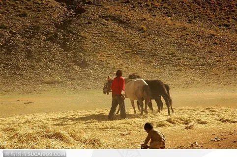 西藏人文风情-放马的妇女和小孩