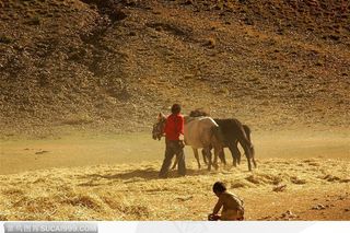 西藏人文风情-放马的妇女和小孩