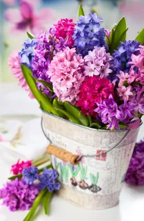 小水桶里鲜花插花图片 小水桶里鲜花插花图片