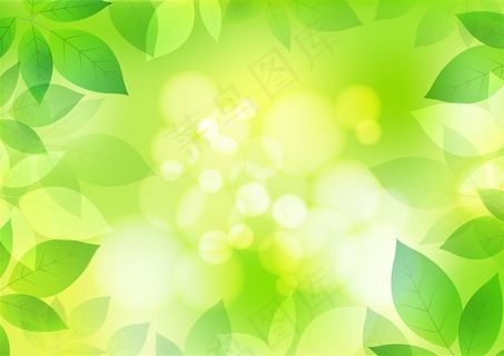绿色光影梦幻叶片