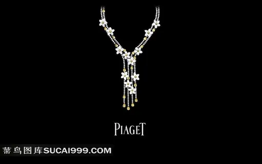 伯爵花纹珠宝项链