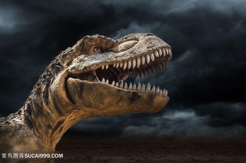 恐龙世界高清图
