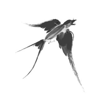 水彩手绘春季春天柳树柳条枝条小鸟小燕子元素PSD设计素材PNG图片