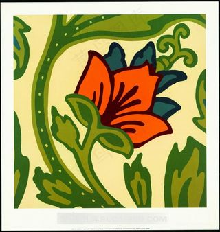 手绘花卉花藤插画