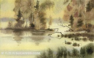 朦胧的野外水墨风景画