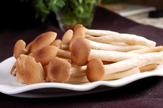 蘑菇香菇金针菇杂菇菌类美食素菜