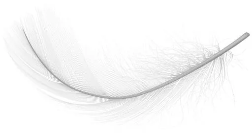 羽毛 PNG免抠(5000x2664)