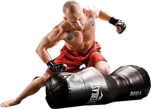 综合格斗 PNG, MMA PNG免抠(567x409)