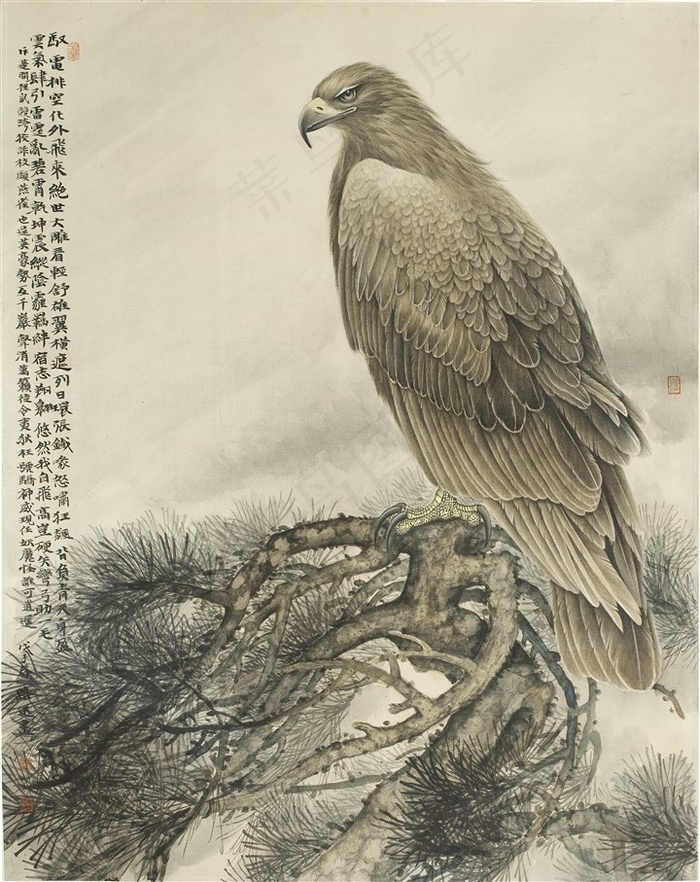 高瞻远瞩老鹰工笔画