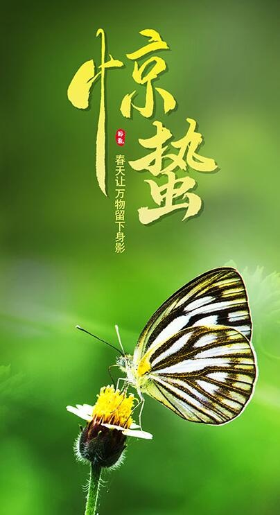 24节气惊蛰海报psd模版下载