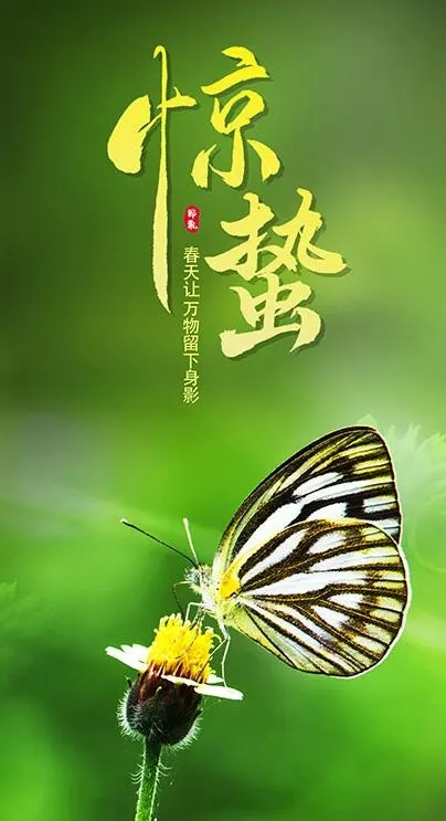 24节气惊蛰海报psd模版下载