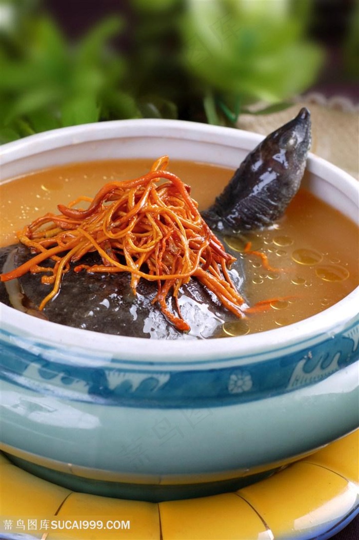 虫草花炖甲鱼