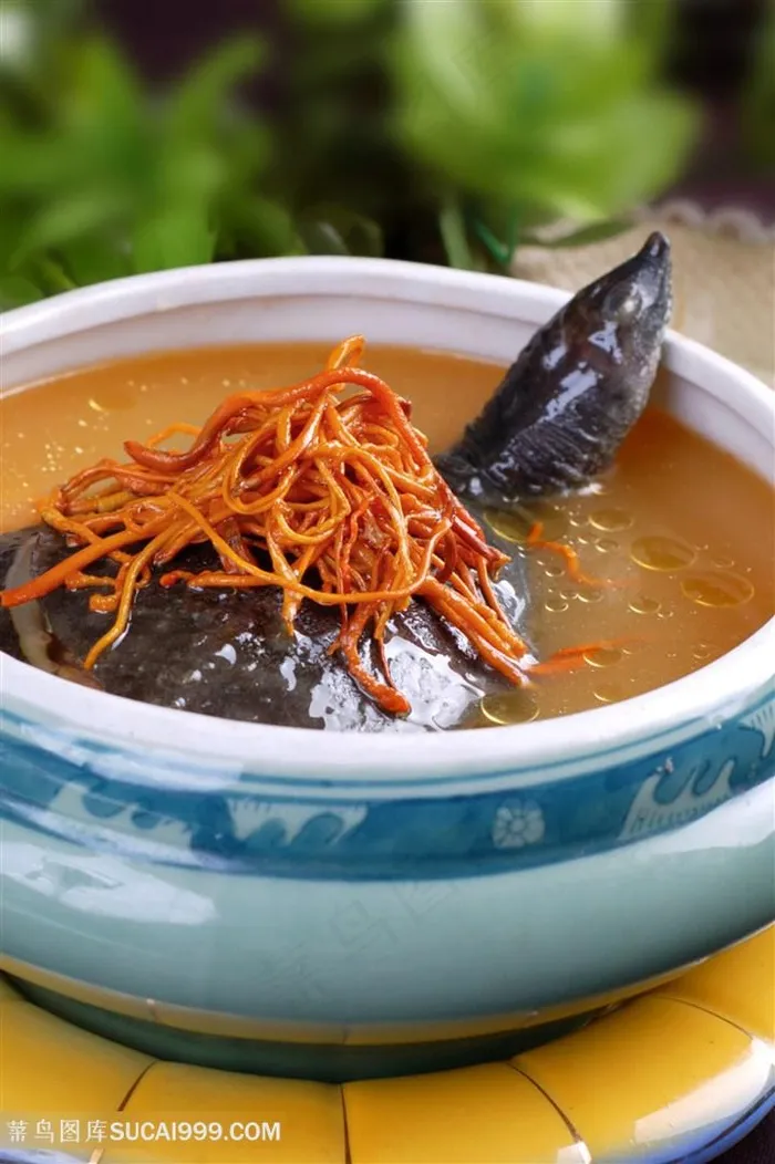 虫草花炖甲鱼