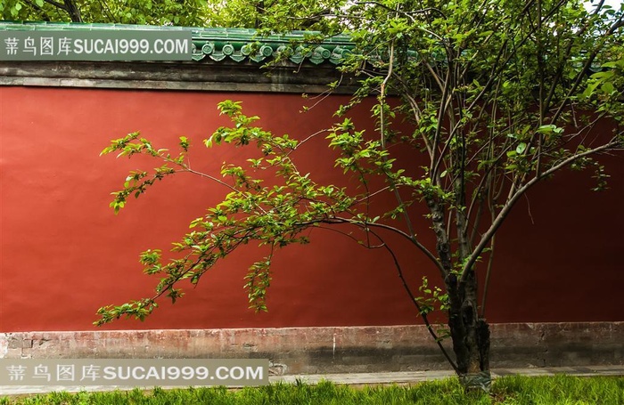 中国风古韵园林景观