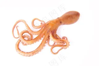 海鲜美食章鱼高清图片
