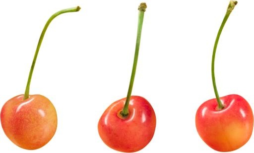 樱桃PNG图片免抠