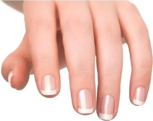 指甲 PNG免抠(525x415)