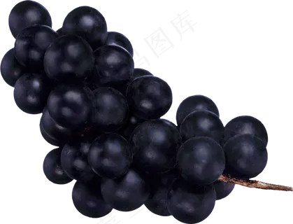 葡萄免抠素材 (44) 葡萄免抠素材 (44)