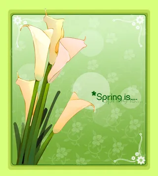 手绘花卉装饰边框背景