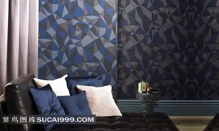 欧美室内效果图气质