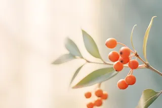 淡雅枝叶红果背景