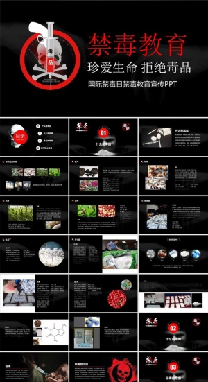 禁毒宣传PPT模板ppt模版预览图