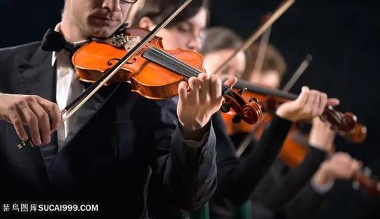 拉小提琴音乐指挥手势图片 拉小提琴音乐指挥手势图片