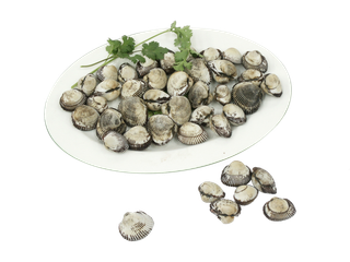 免抠png素材 贝壳海鲜血蛤 超市促销宣传 超市商品实拍 食材