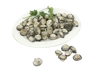 免抠png素材 贝壳海鲜血蛤 超市促销宣传 超市商品实拍 食材