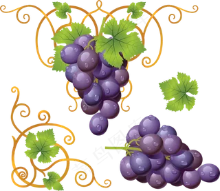 葡萄免抠素材 (23)