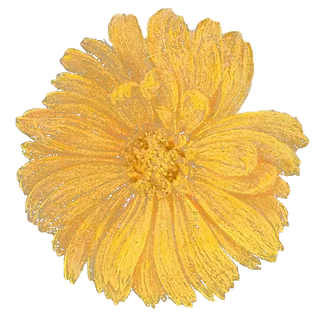 复古油画质感宫廷花卉植物花朵鲜花拼贴图案PNG免抠图片设计素材