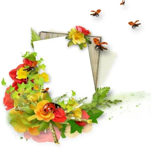 花框 PNG免抠(3034x2994)