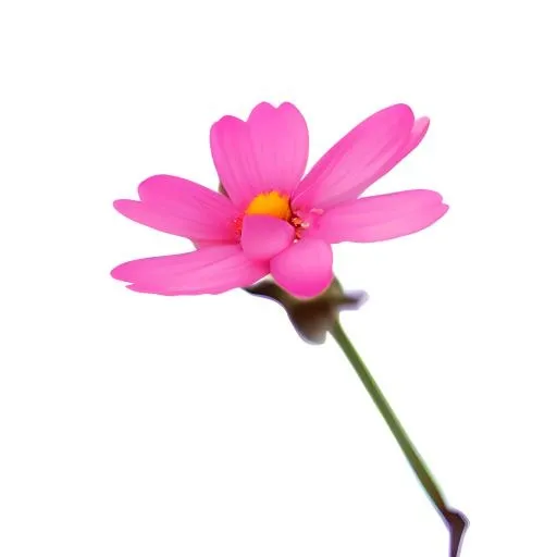 花免抠(2048x2048)