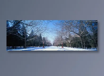 丹陛桥(海墁大道)雪景