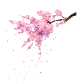 春天浪漫粉红色樱花手绘樱花梅花桃花花朵图片PNG免扣素材