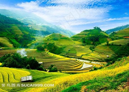 绝美田园风景插画