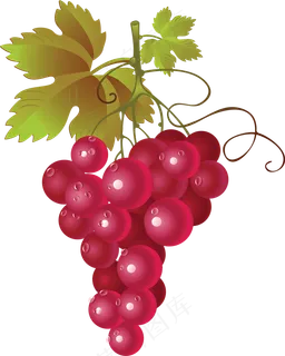 葡萄免抠素材 (34)
