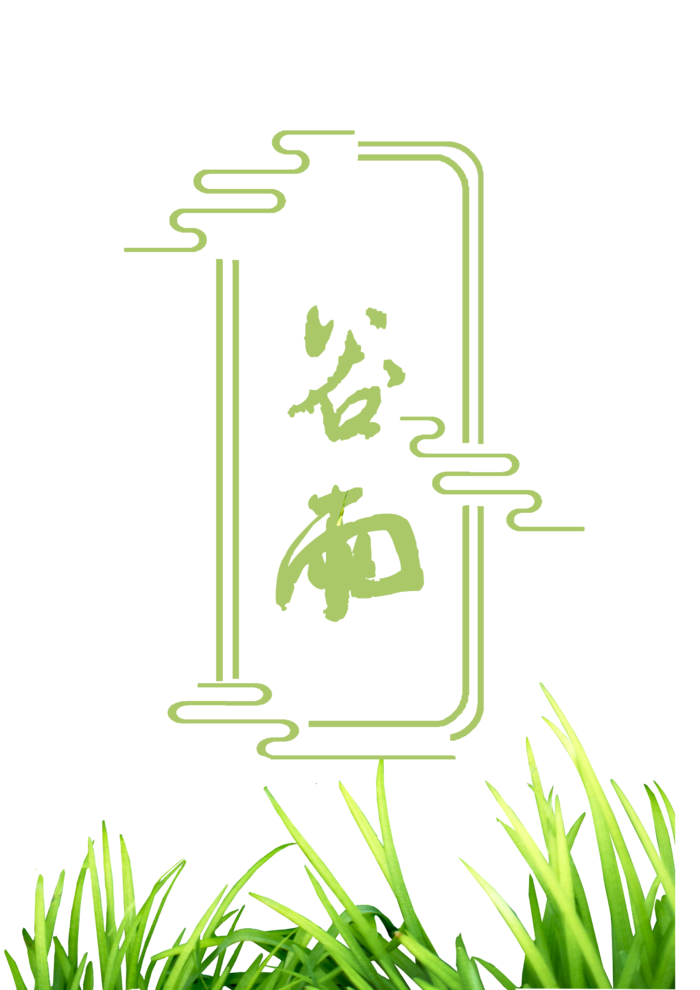 谷雨字体插画