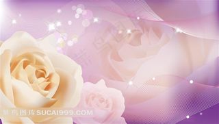 装饰画背景画无框画玫瑰花