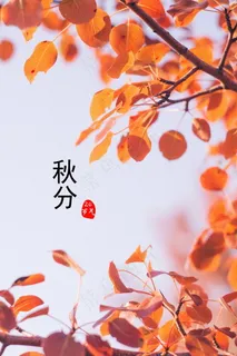 今日秋分节气图片 今日秋分节气图片