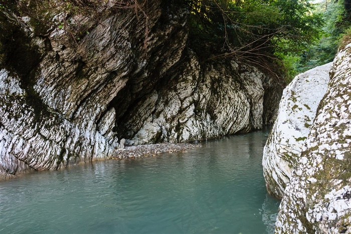 森林湖水和树木