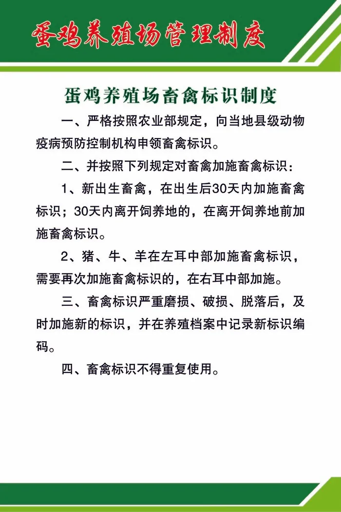 蛋鸡养殖场畜禽标识制度psd模版下载