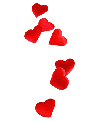 爱心装扮情人节